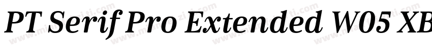 PT Serif Pro Extended W05 XBdIt字体转换